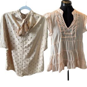 Bundle of 2 Size Large Tops – Shein (NWOT) & Blu Pepper (EUC)